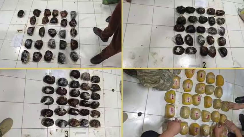 Hududlarda giyohvandlikka qarshi tezkor tadbirlarda yirik partiyalar fosh etildi