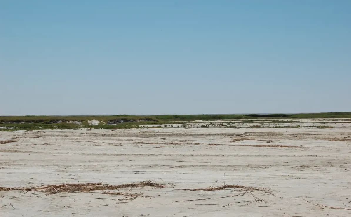 IAEA to help Uzbekistan combat soil salinization