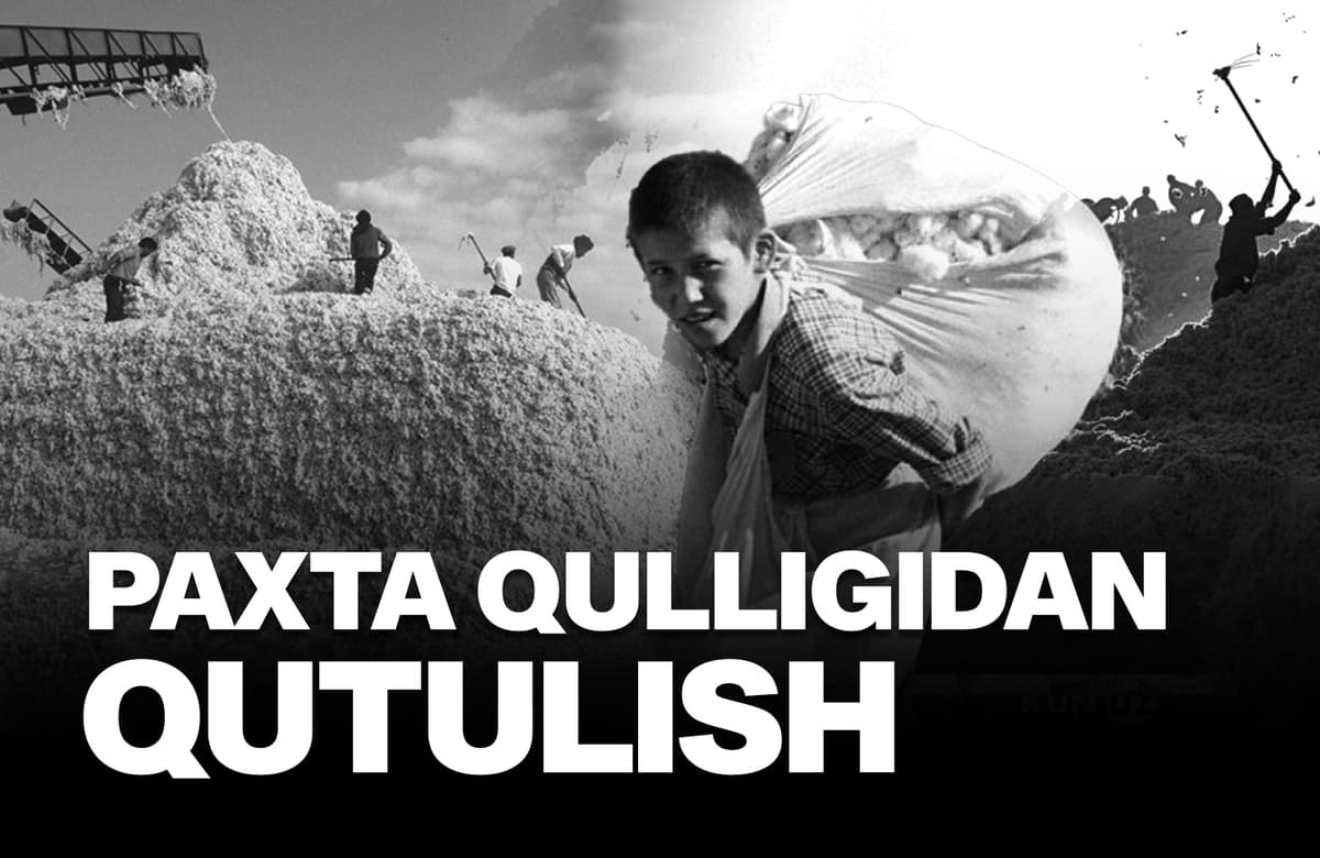 «Oq oltin» balosi: O‘zbekistonda paxta qulligi tarixi, oqibatlar va bugungi kun haqida