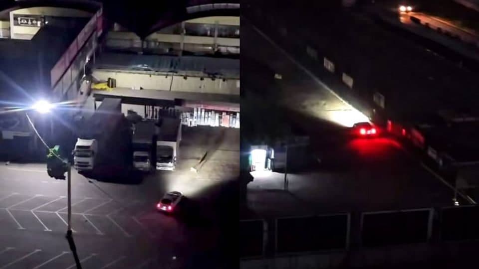 Toshkentda bozor qorovullari itlar ustiga mashina haydadi