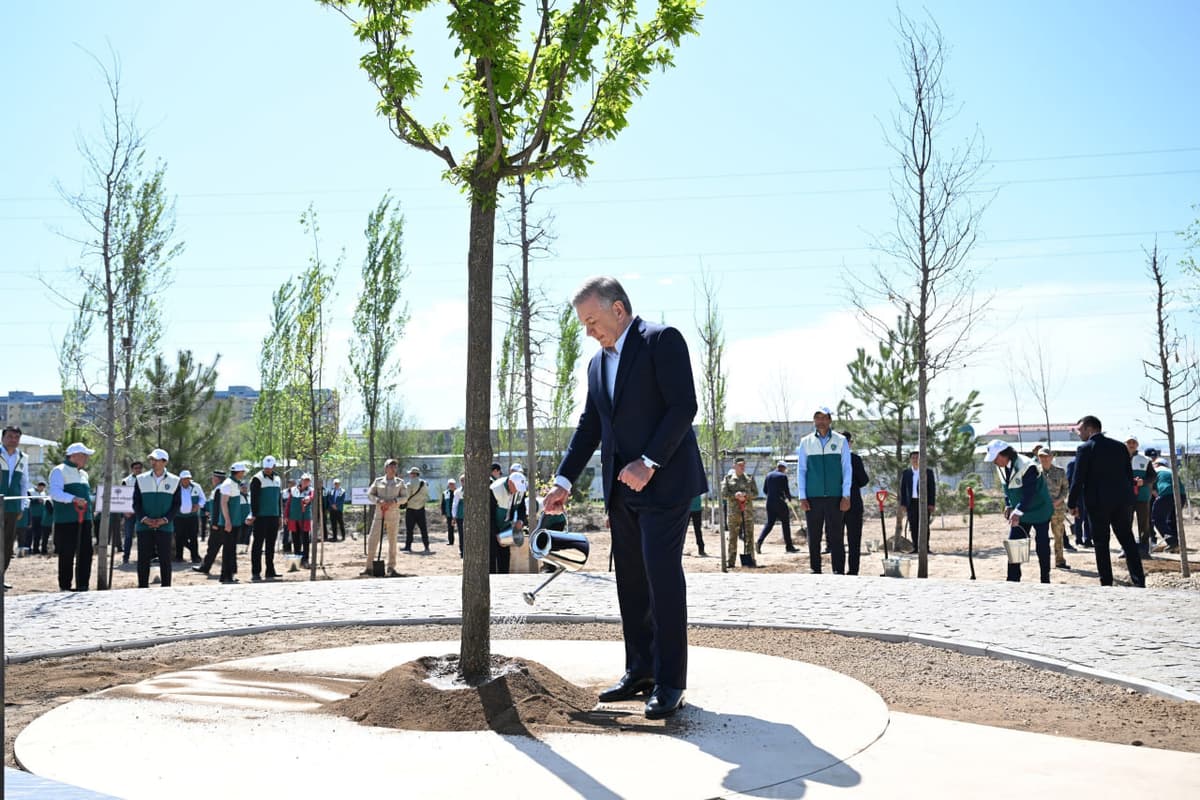 Uzbekistan targets 30% green coverage with new legislative funding initiative