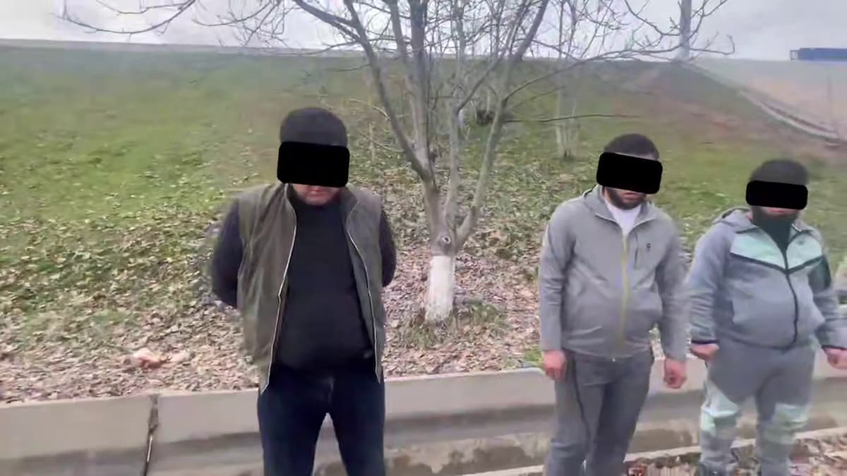 В Ташкенте накрыли нарколабораторию с прегабалином
