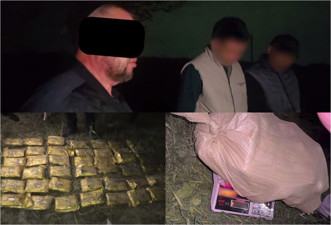 Kontrabanda yo‘li bilan olib kirilgan 24 kg gashish ushlandi