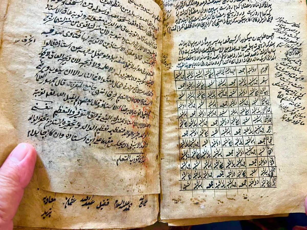 Axsikentda noyob qo‘lyozma va Abbosiylar zarb etgan tangalar topildi
