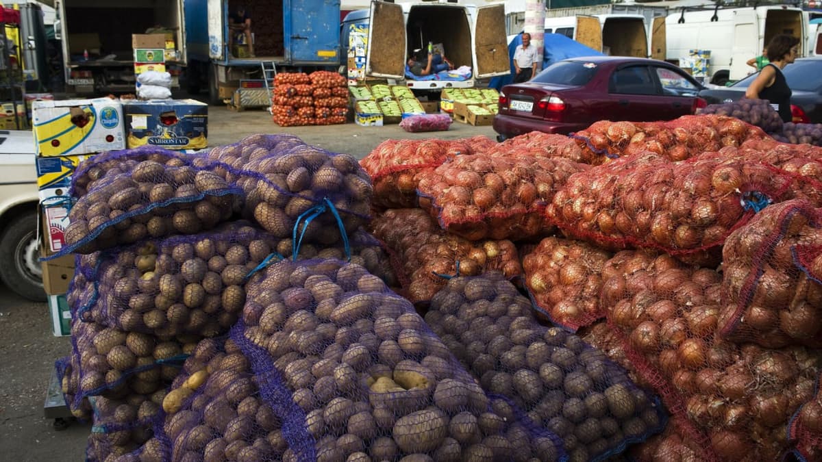 В Узбекистане вводят дополнительные меры по обеспечению сельхозпродукцией зимой