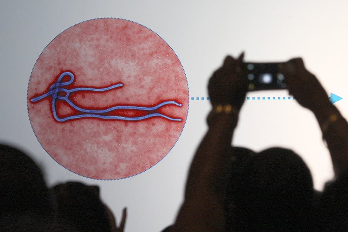 Ebola virusining O‘zbekistonda tarqalish xavfi past - Sanepidqo‘mita