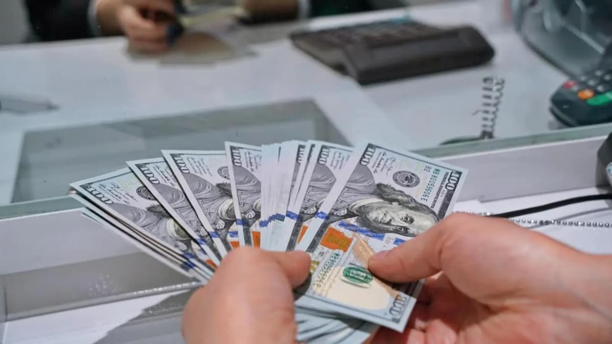 Иностранцы заплатят 50 тысяч долларов за переход на специальный налоговый режим в Узбекистане