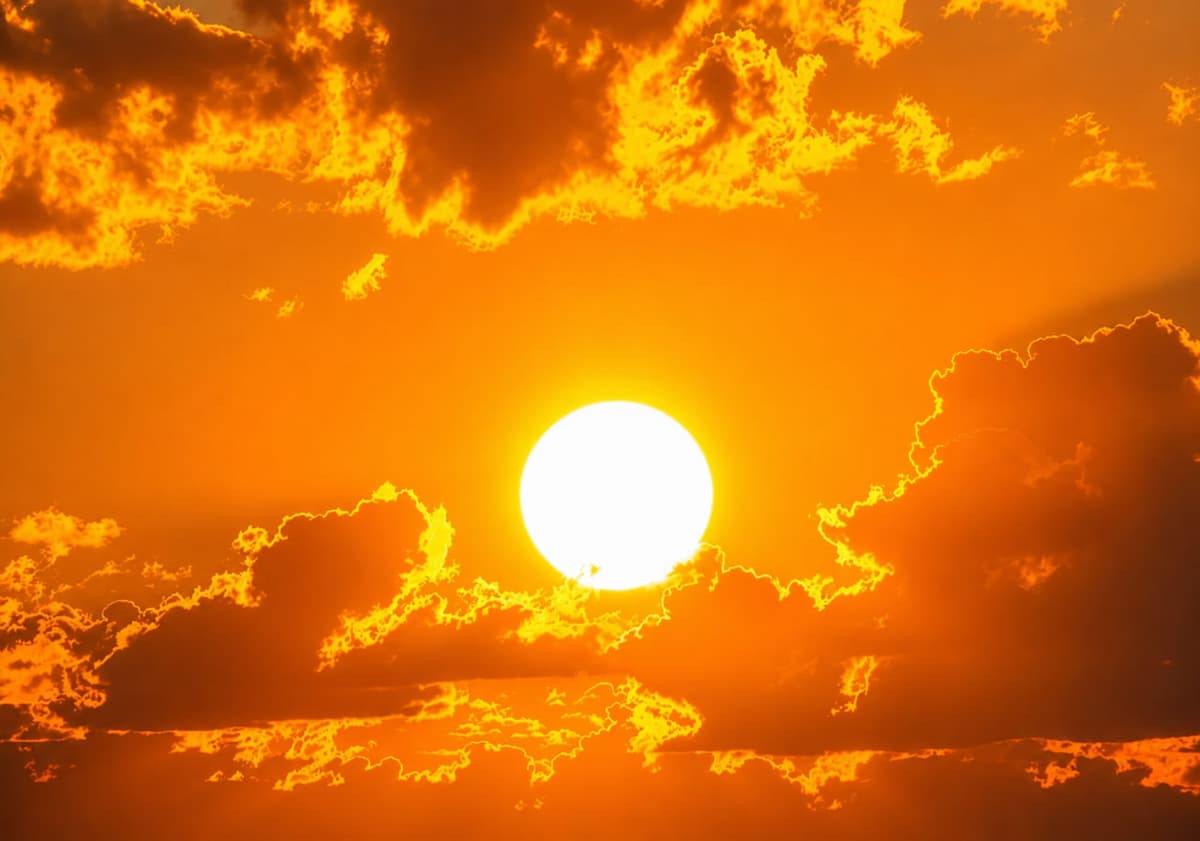 Health Ministry issues safety advice as extreme heat grips Uzbekistan