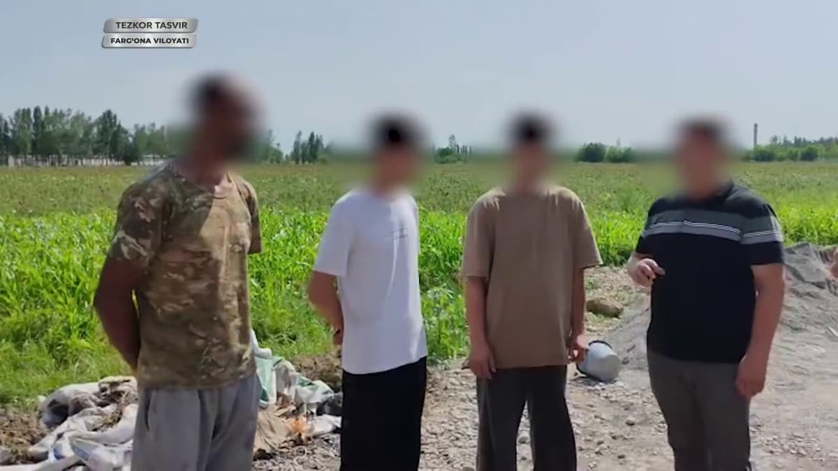 Фарғонада қарийб 6 кг «гашиш» мусодара қилинди