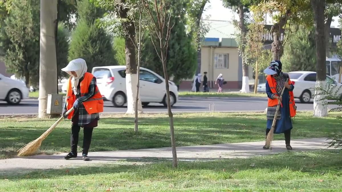 Mehnat inspeksiyasi barcha hokimliklarga ko‘rsatma yubordi
