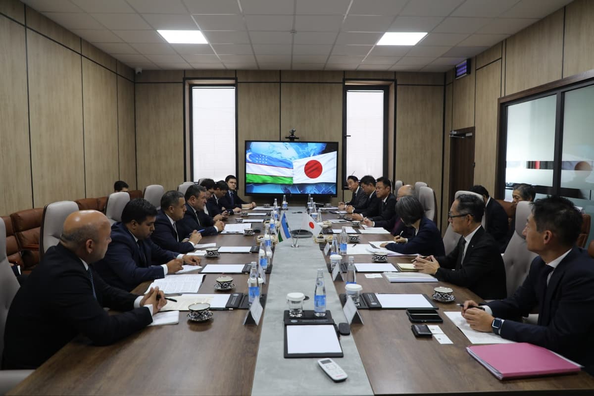 Uzbekistan, Japan discuss $7.7 billion pipeline of new energy projects