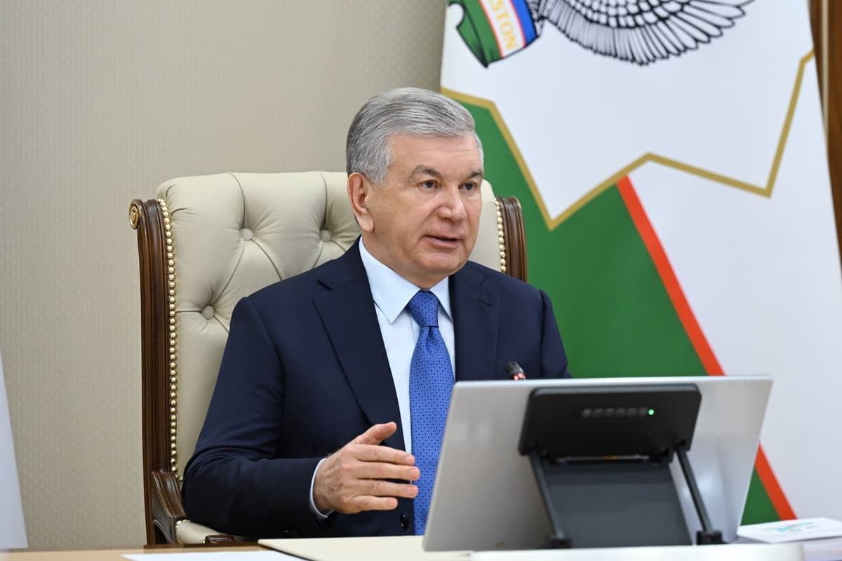Saratonga qarshi kurashning yangi bosqichi: milliy dastur joriy etiladi