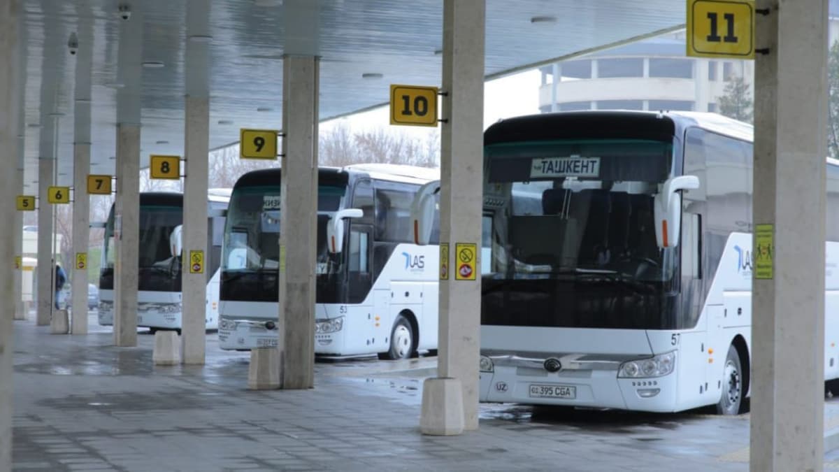 Toshkentdan voha viloyatlariga qo‘shimcha avtobus reyslari yo‘lga qo‘yildi