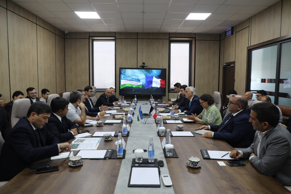 Uzbekistan and France discuss $1.8 billion in new energy projects