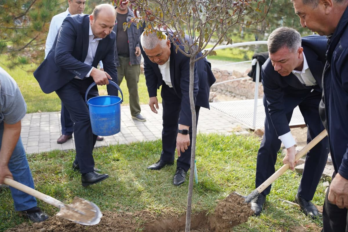 Vazirlik va hokimliklar “yashil reyting” asosida baholanadi