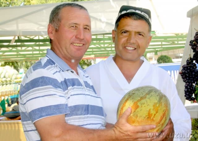 O‘zbekiston Yevropaga 5 million dollarlik qovunlar yetkazib beradi