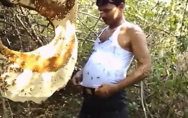 Hindistonlik erkak yuzlab asalarilar chaqishidan og‘riq his qilmasligini ko‘rsatdi (video)