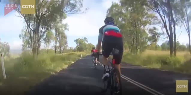Avstraliyada kenguru bir sakrab velosipedchini yiqitib yubordi (video)
