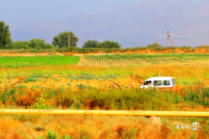 Toshkent viloyatining 7 tumanida yer ajratish vaqtincha taqiqlandi