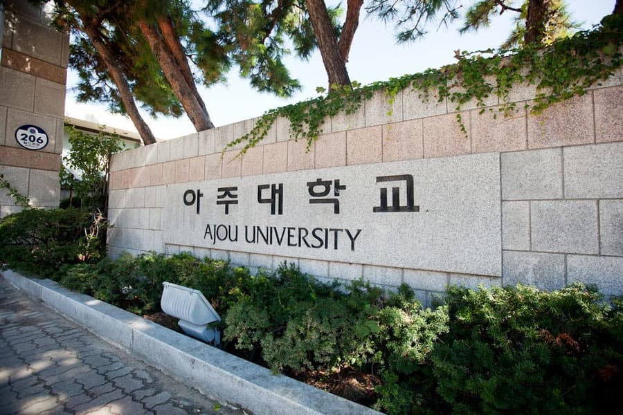 Prezident qarori: Toshkentda yangi universitet tashkil etiladi