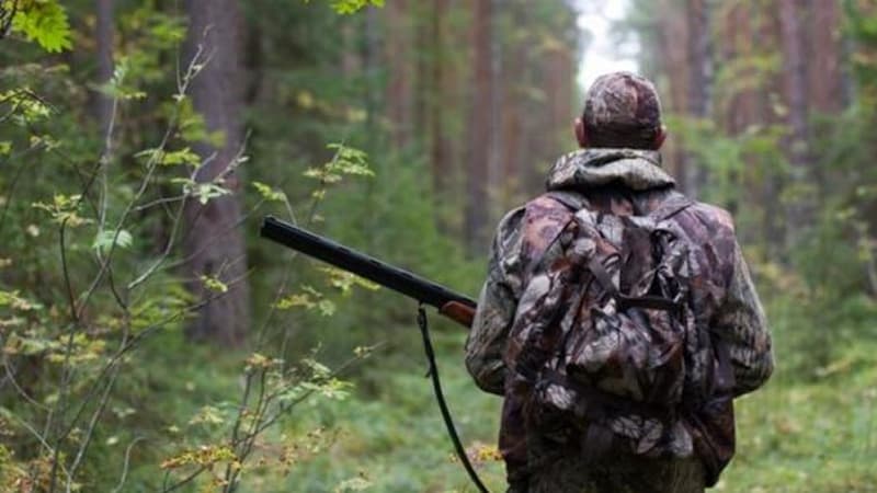 WWF: c 1970 года человечество уничтожило 60% животных на Земле