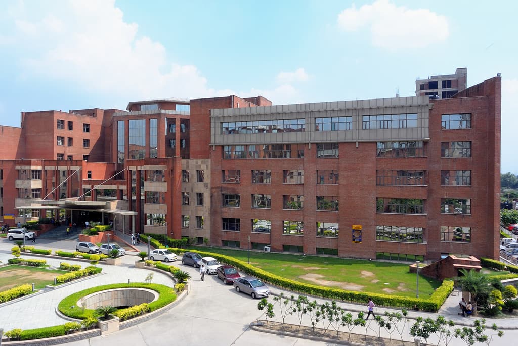 Toshkent shahrida Amiti Universiteti tashkil etiladi