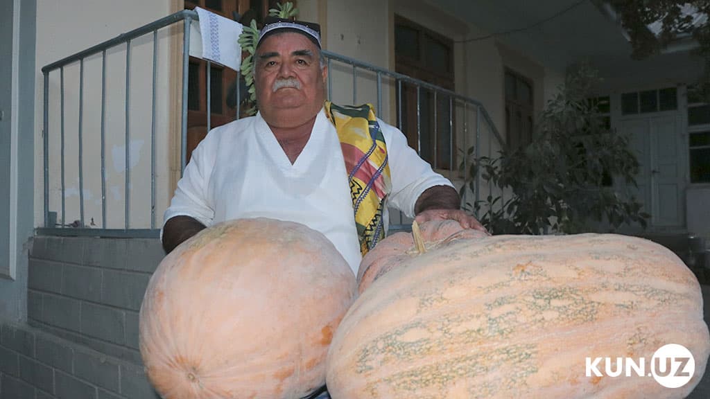 Yangiyo‘lda 25-30 kilogrammli qovoqlar yetishtirilmoqda (foto, video)
