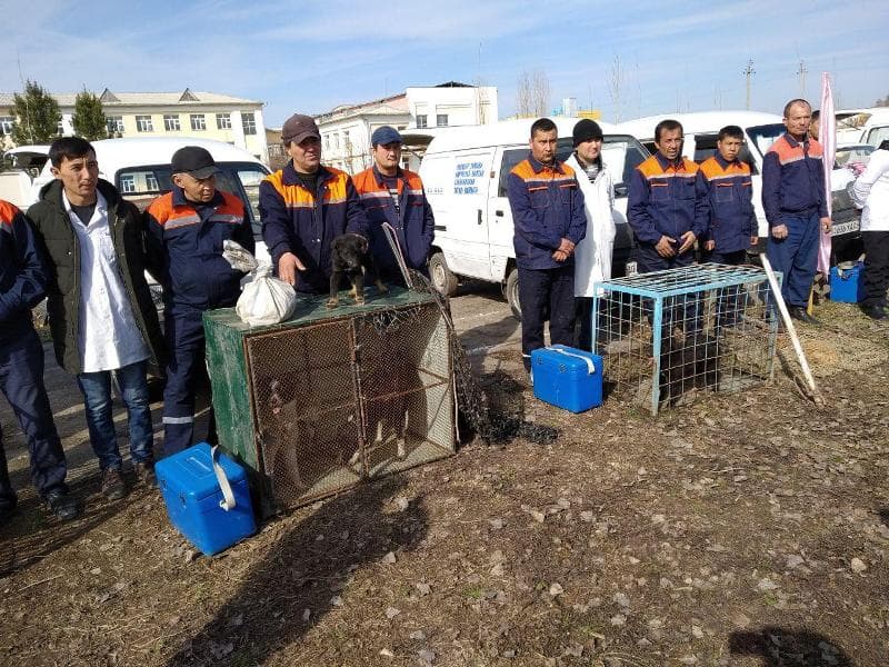 FVV Toshkent viloyatida taktik-maxsus o‘quv mashqlar o‘tkazdi