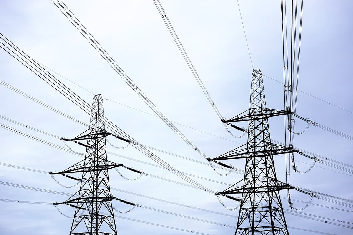 Paxta va don ekinlarini sug‘orish uchun elektr energiyasi – davlat hisobidan