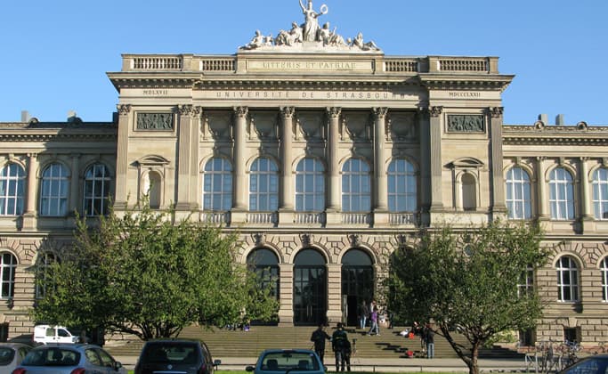 Toshkentda Yevropaning nomdor oliy ta'lim muassasalaridan birining filiali ochilishi mumkin