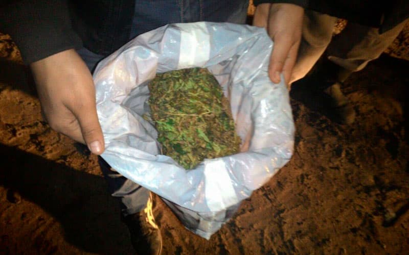 Marixuana sotayotganda ushlangan shaxsning uyidan 1,5 kilogrammdan ortiq giyohvandlik moddasi topildi