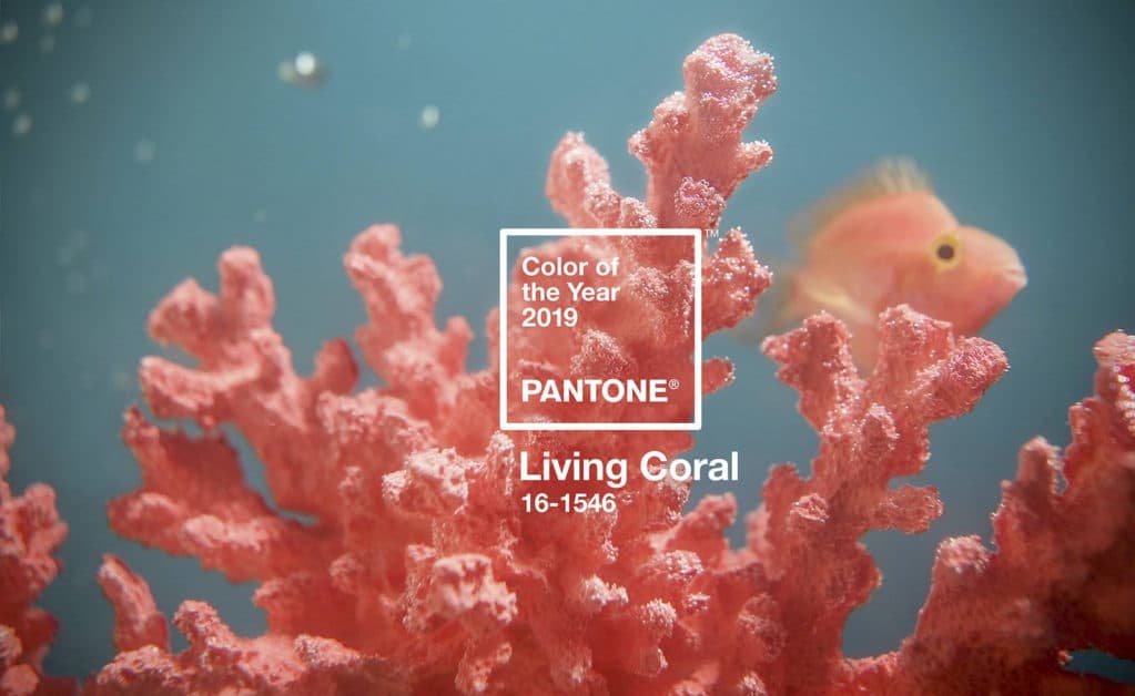 Pantone instituti 2019 yilning rangini e'lon qildi