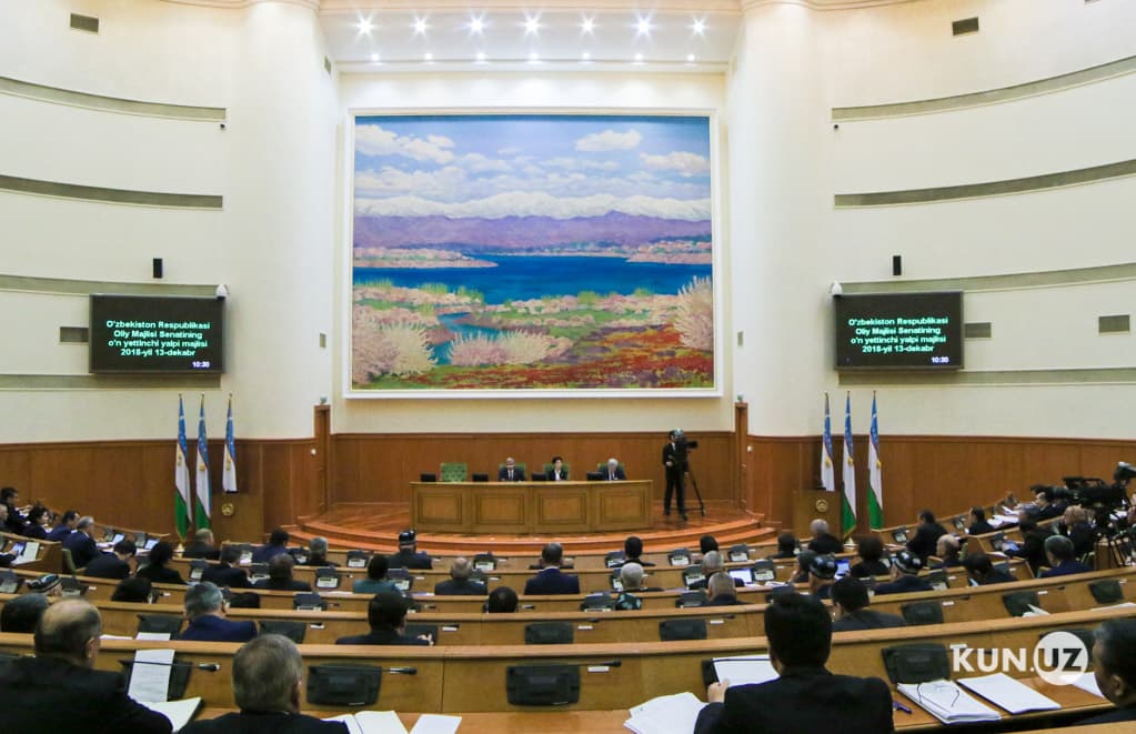 Senat 2019 yilga davlat byudjyetini ma'qulladi