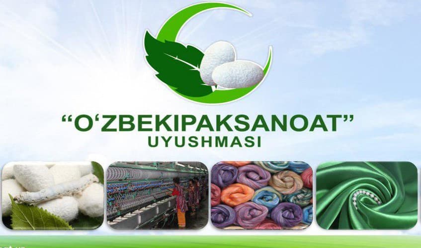 “O‘zbekipaksanoat” uyushmasi raisiga birinchi o‘rinbosar tayinlandi