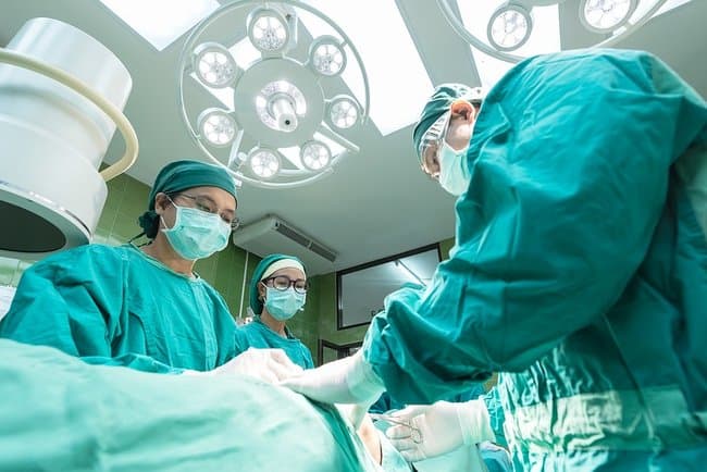 Inson organizmida yangi a'zo topildi