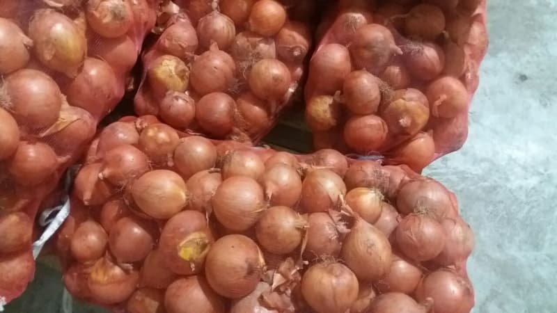 Компания «Узагроэкспорт» закупает лук по 1200 сумов