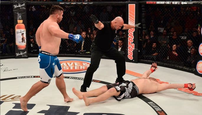 Машғулотларида мушукдан фойдаланган чеченистонлик MMA жангчисини жазолаш талаб қилинди