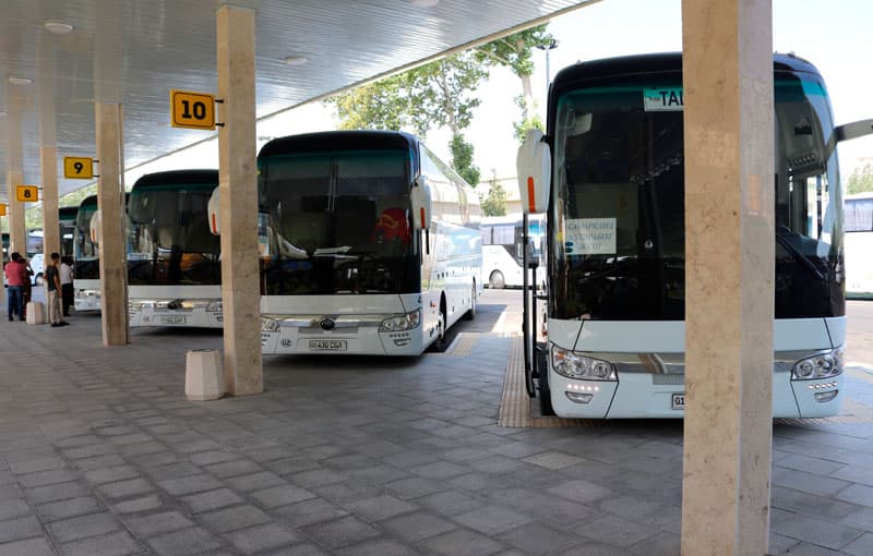 15 avgustdan «Toshkent-Chimboy» yo‘nalishida muntazam avtobus qatnovi yo‘lga qo‘yiladi