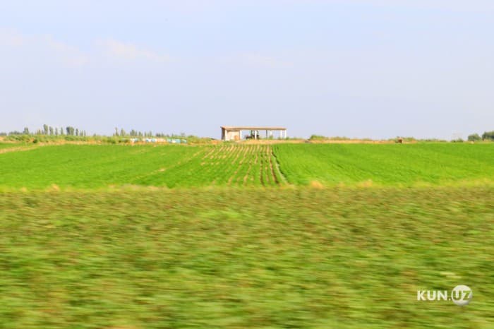 Tuman hokimliklari zaxirasidagi lalmi va yaylov yer uchastkalari bo‘yicha o‘zgarish yuz beradi