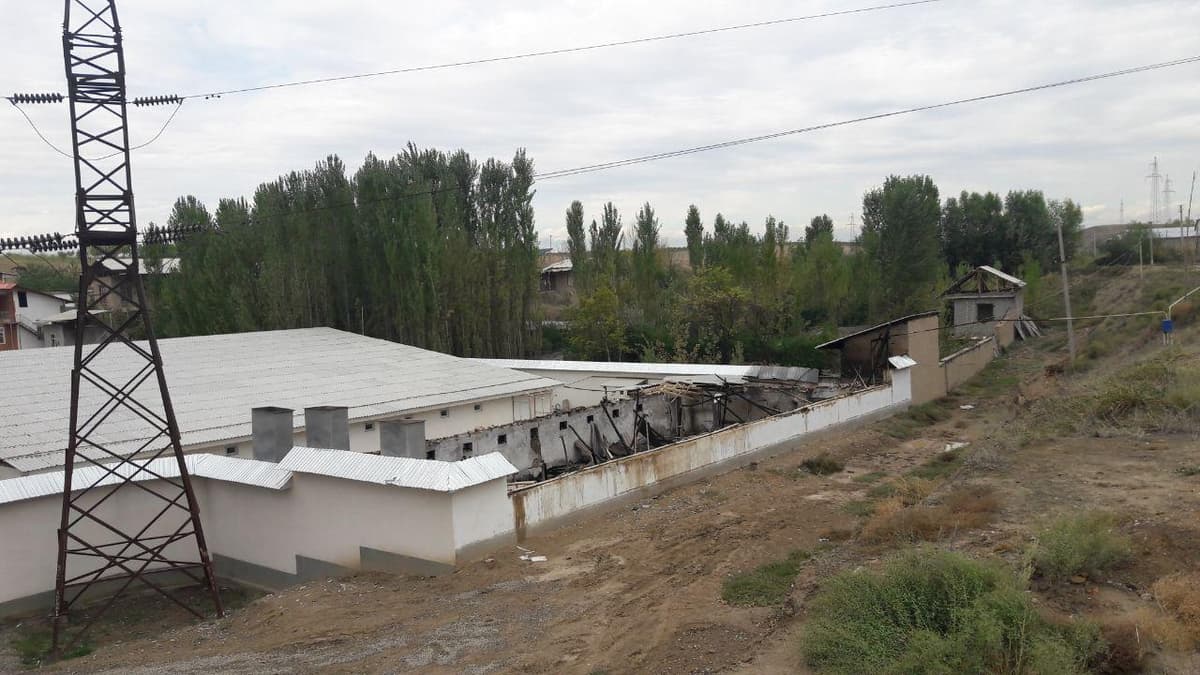Namanganda parrandachilik fabrikasi yonib ketdi