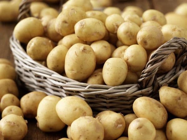 Украина впервые начала импортировать картофель из Узбекистана