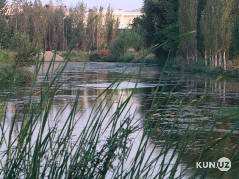IIVga qarashli markazdan o‘tuvchi kanal chiqindixonaga aylanganmi?