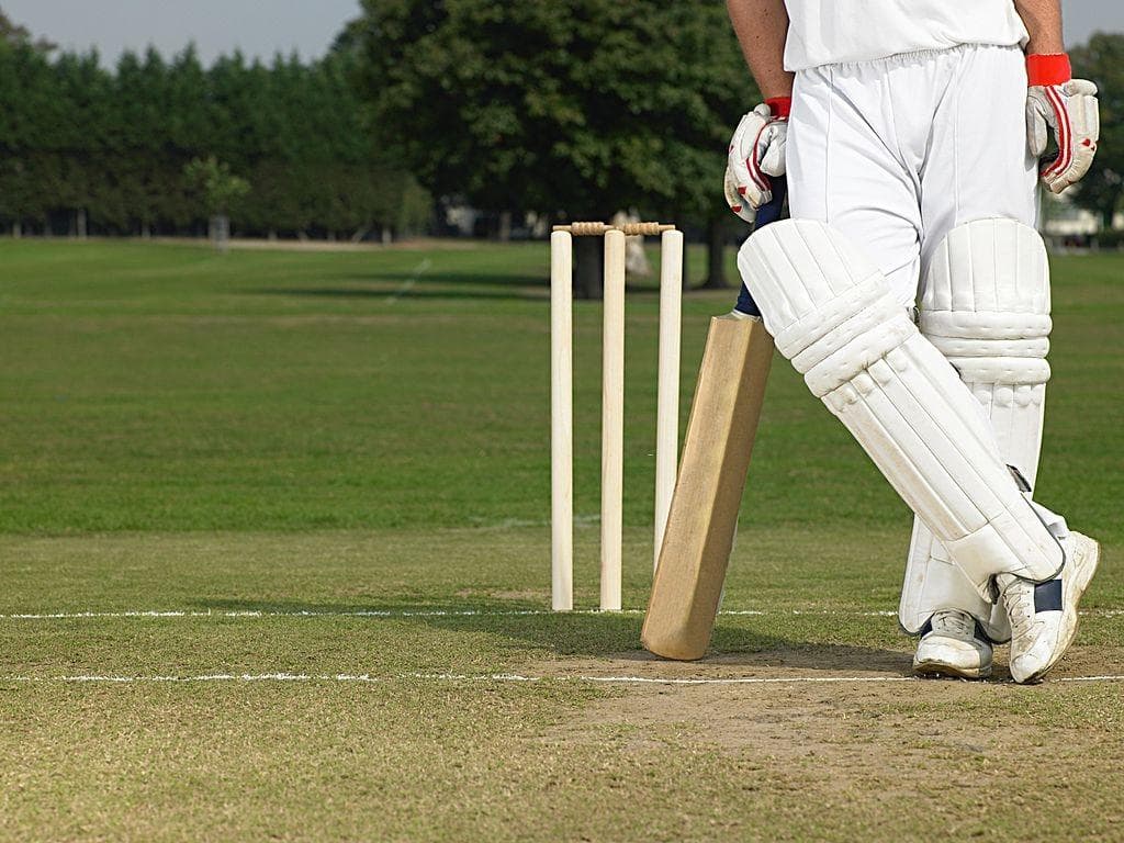 Cricket Federation established in Uzbekistan