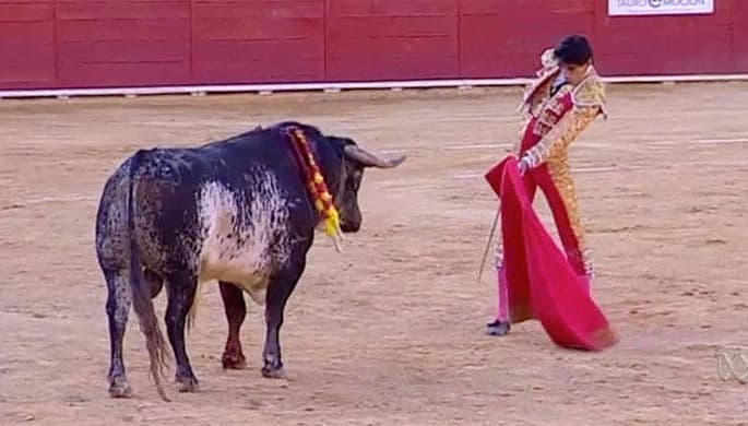 Ispaniyada buqa 17 kishini yaraladi