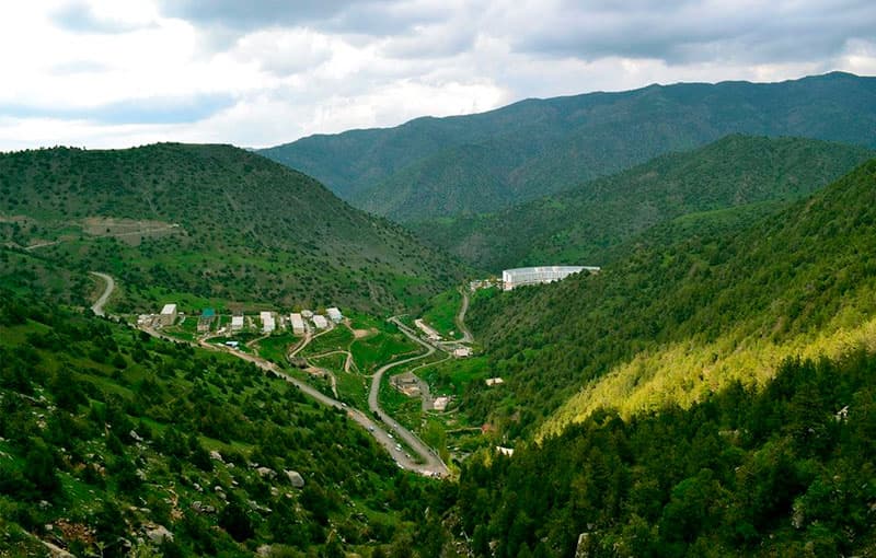 O‘rmon fondi yerlarini ijaraga berish tartibi tasdiqlanadi