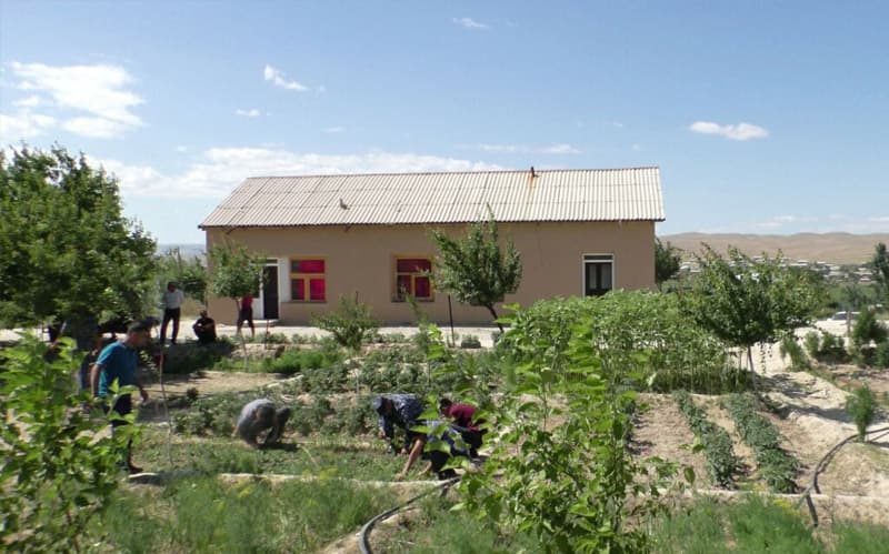Ishtixonda hovlisida ko‘knori yetishtirgan ayolga sud jazosi tayinlandi