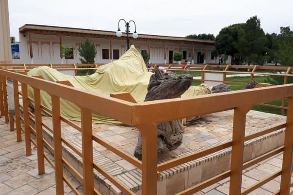 Bahovuddin Naqshband ziyoratgohidagi shirkka sabab bo‘lib qolayotgan qurigan daraxt joyidan olindi