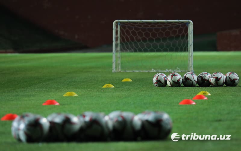 Hukumat sport sohasi bo‘yicha qaror qabul qiladi. Vazirlik tasarrufida yangi institut tashkil etiladi