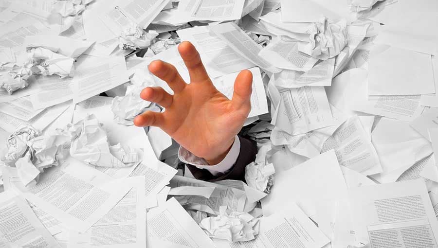 Farzandingizni litseydan maktabga qaytarishingiz kerakmi? Sarguzashtlarga tayyor turing