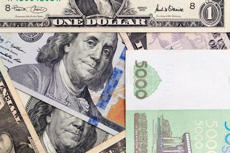 Valutani nazorat qiluvchi organlarning huquq va majburiyatlari belgilandi